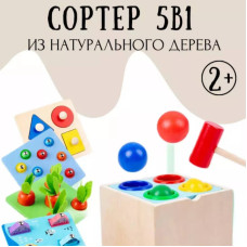 Деревянная развивающая игрушка QIYI 5 в 1 Монтессори
