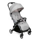 Прогулочная коляска Chicco GOODY PLUS